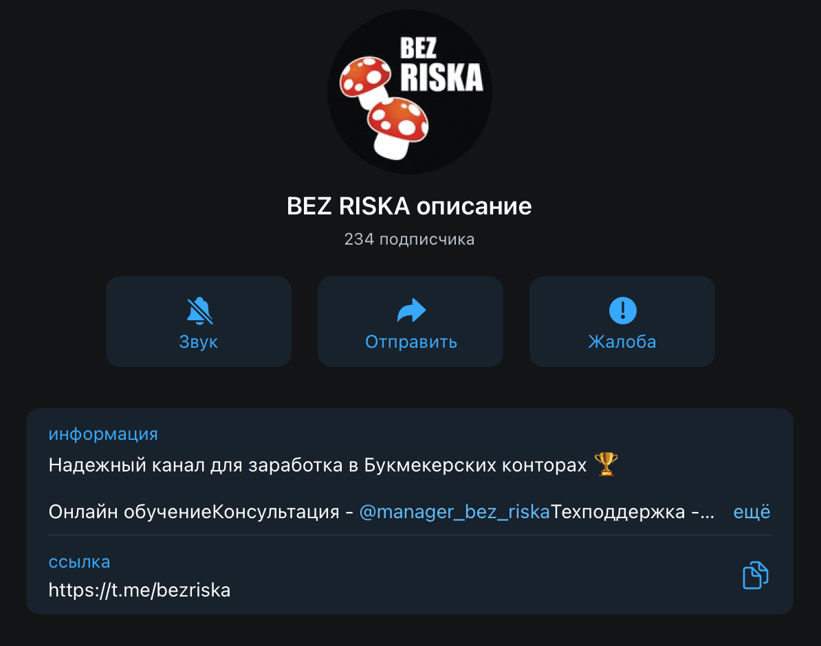 Телеграм канал BezRiska