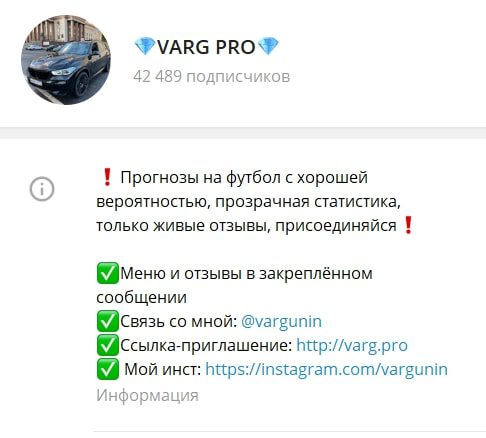 Varg Pro – телеграмм канал со ставками на футбольные матчи