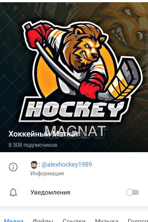 Хоккейный магнат - Телеграмм канал