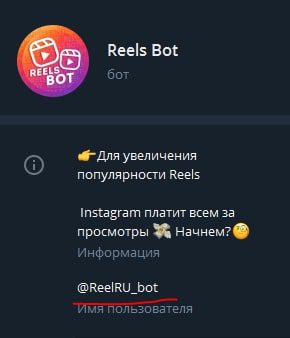 Reels Bot 