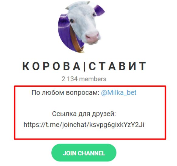 Корова Ставит - Телеграмм канал