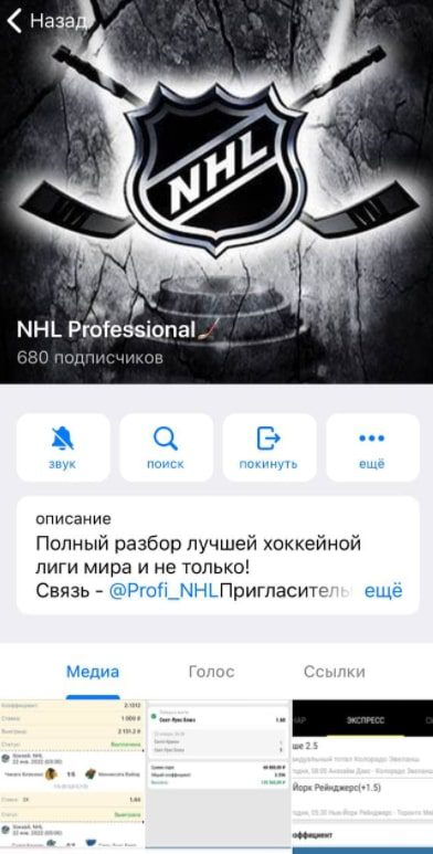 NHL Professional - канал в Телеграмме