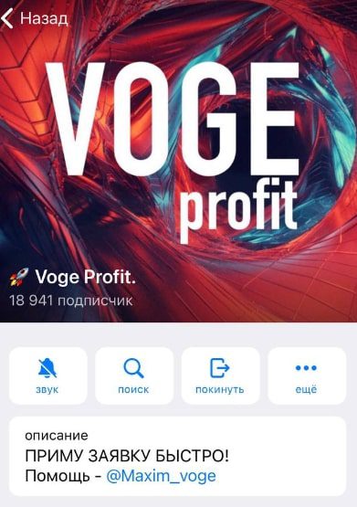 Телеграмм проект VOGE PROFIT